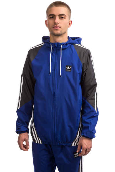 adidas Insley Jacket (active blue solid 