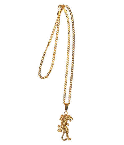 Dgk Skateboards Tiger Style Acc Gold Buy At Skatedeluxe