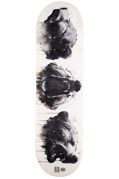Element Tabla Polaroid Nassim Guammaz 8.2