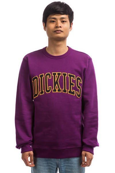Dickies Mount Sherman Felpa Uomo