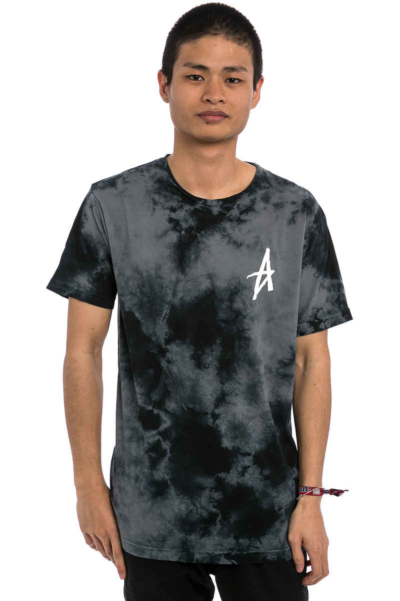 Altamont Dark Days T-Shirt (grey navy)