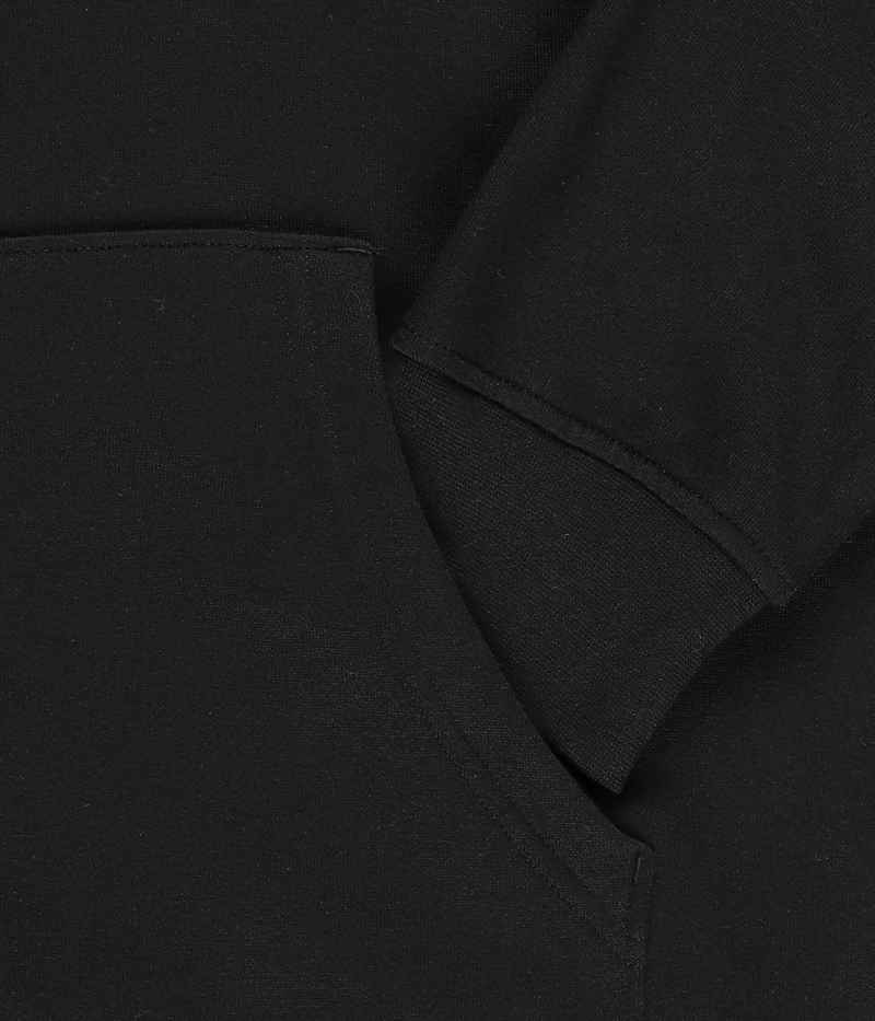 Element Cornell Hoodie (flint black)