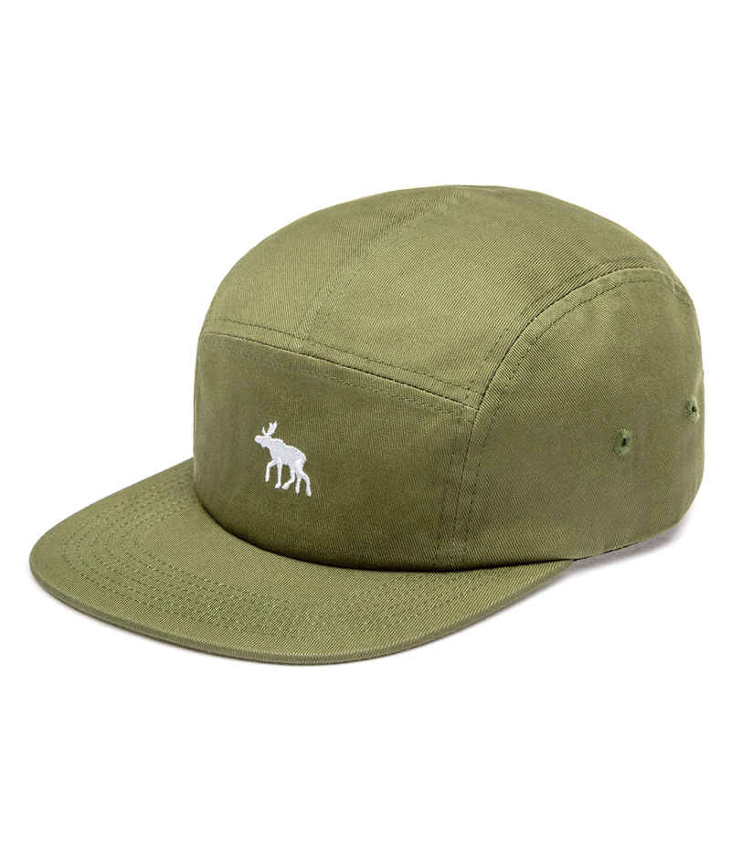 Anuell Moosam 5 Panel Cap (green)