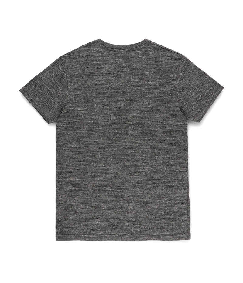 Iriedaily Chamisso T-Shirt (anthracite melange)