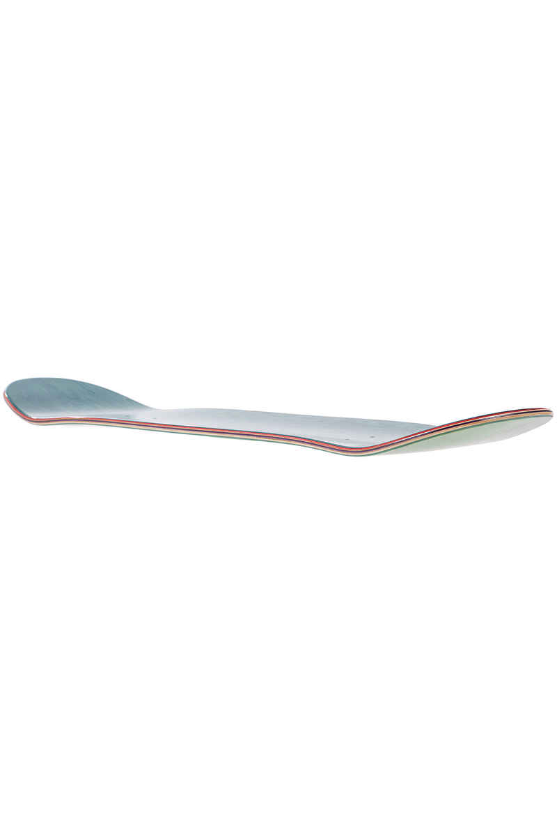 Chocolate Tershy Inaugural 8.375" Tavola