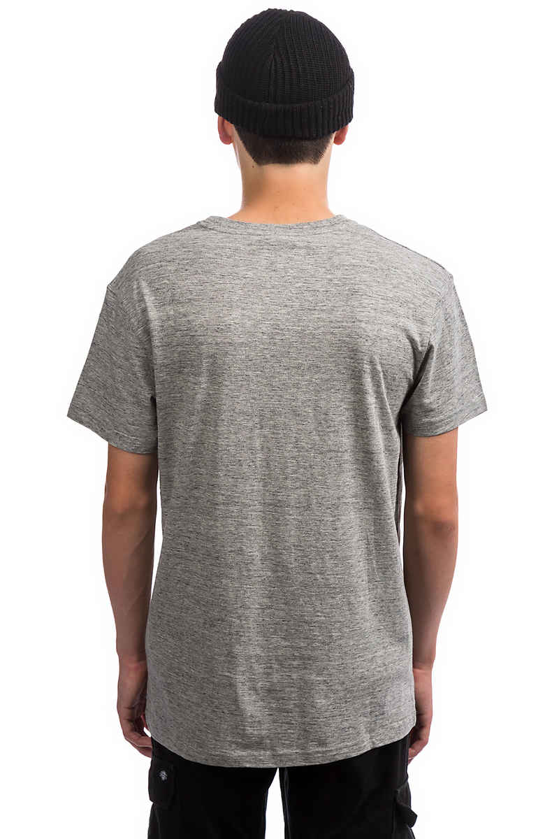 Iriedaily Chamisso Logo T-Shirt (grey melange)