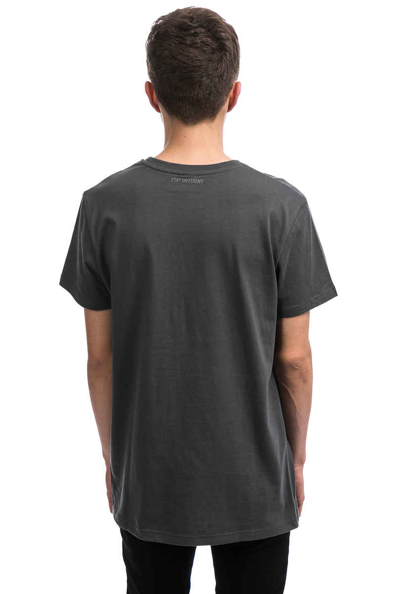 Iriedaily Flutscher T-Shirt (coal)