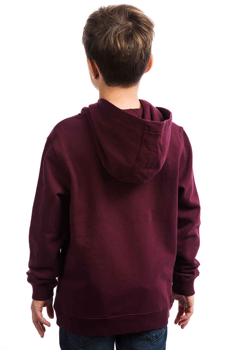 Vans OTW Hoodie kids (port royale)