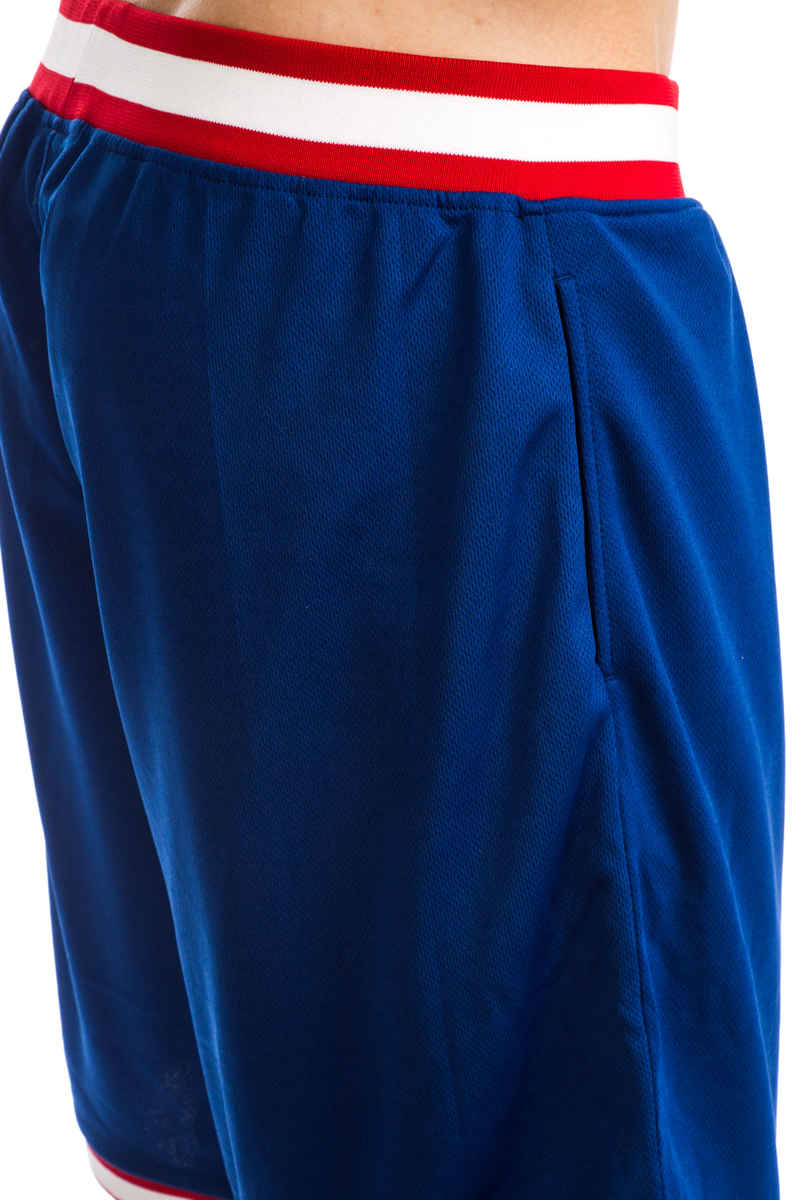 DC Eglinton Shorts (sodalite blue)