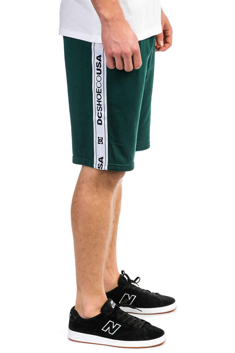 DC Heggerty Shorts (june bug)