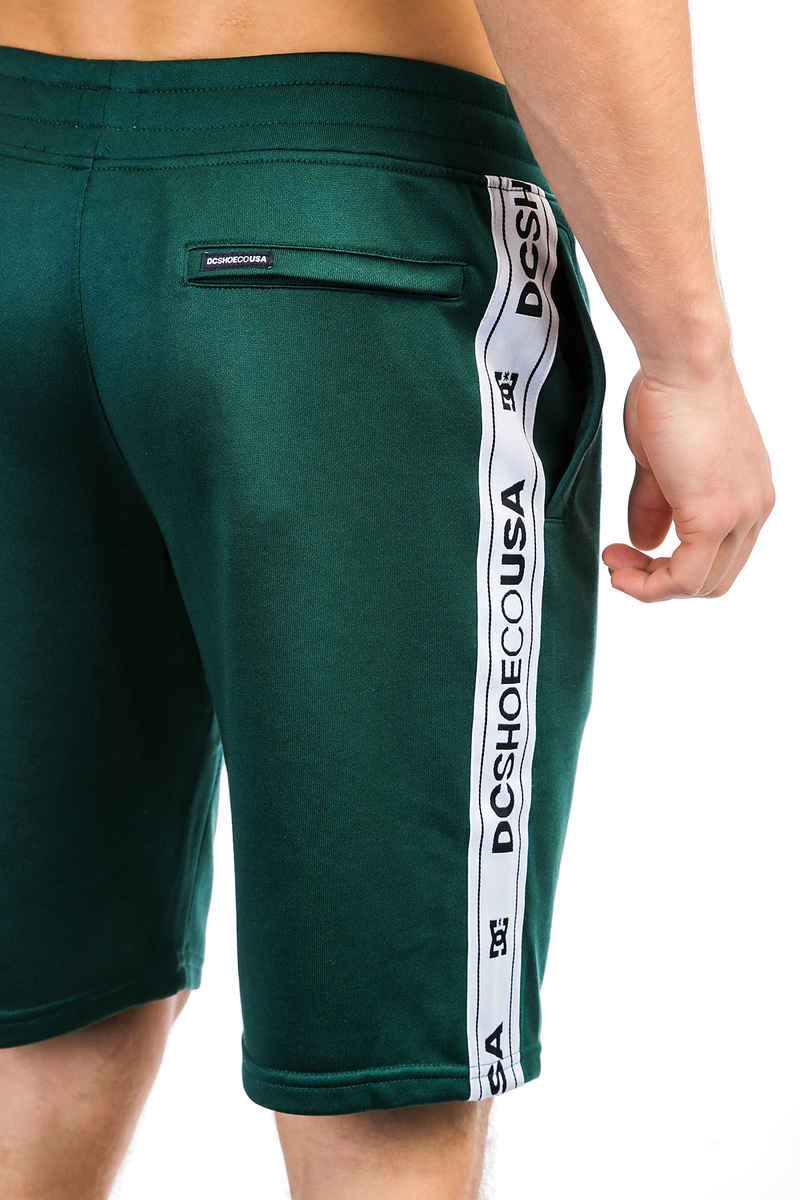 DC Heggerty Shorts (june bug)