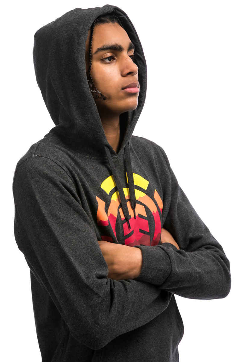 Element Logo Fill Hoodie (charcoal heather)