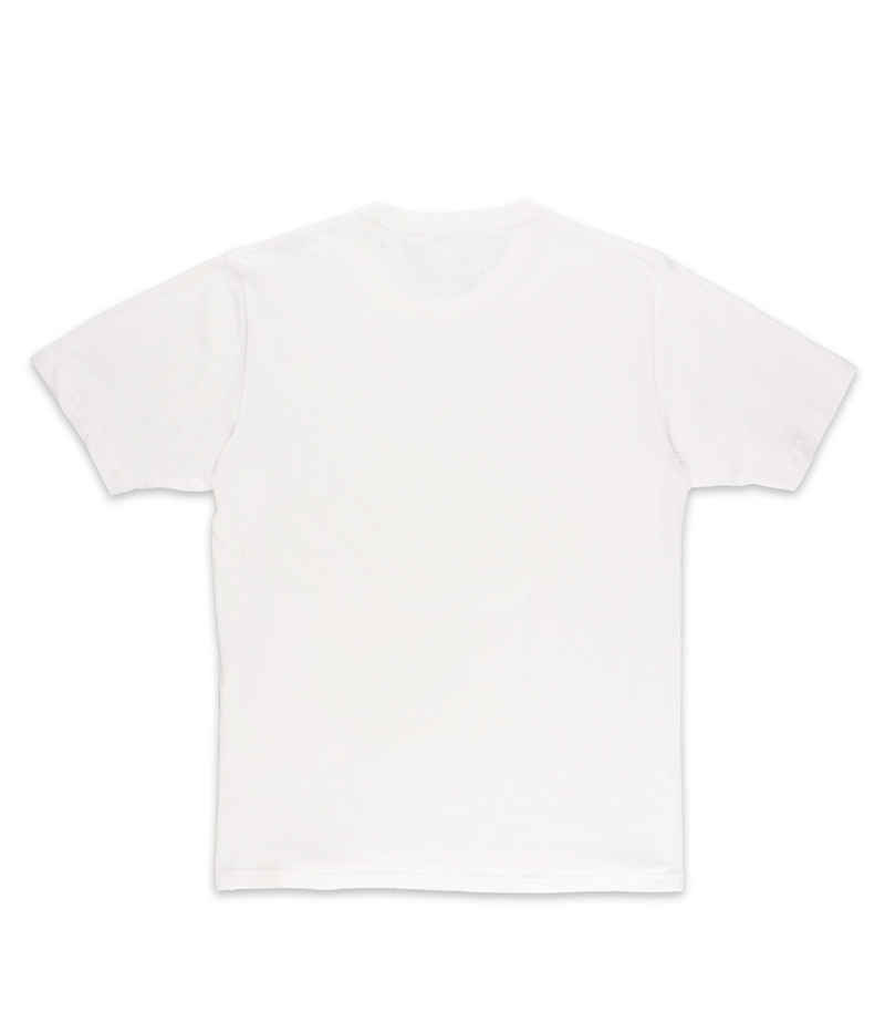 Dickies Stockdale T-shirt (white)