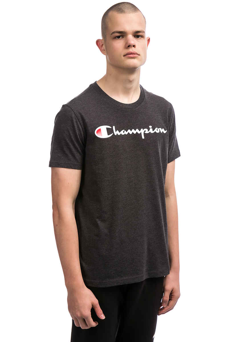 Champion Jersey T-Shirt (grey)