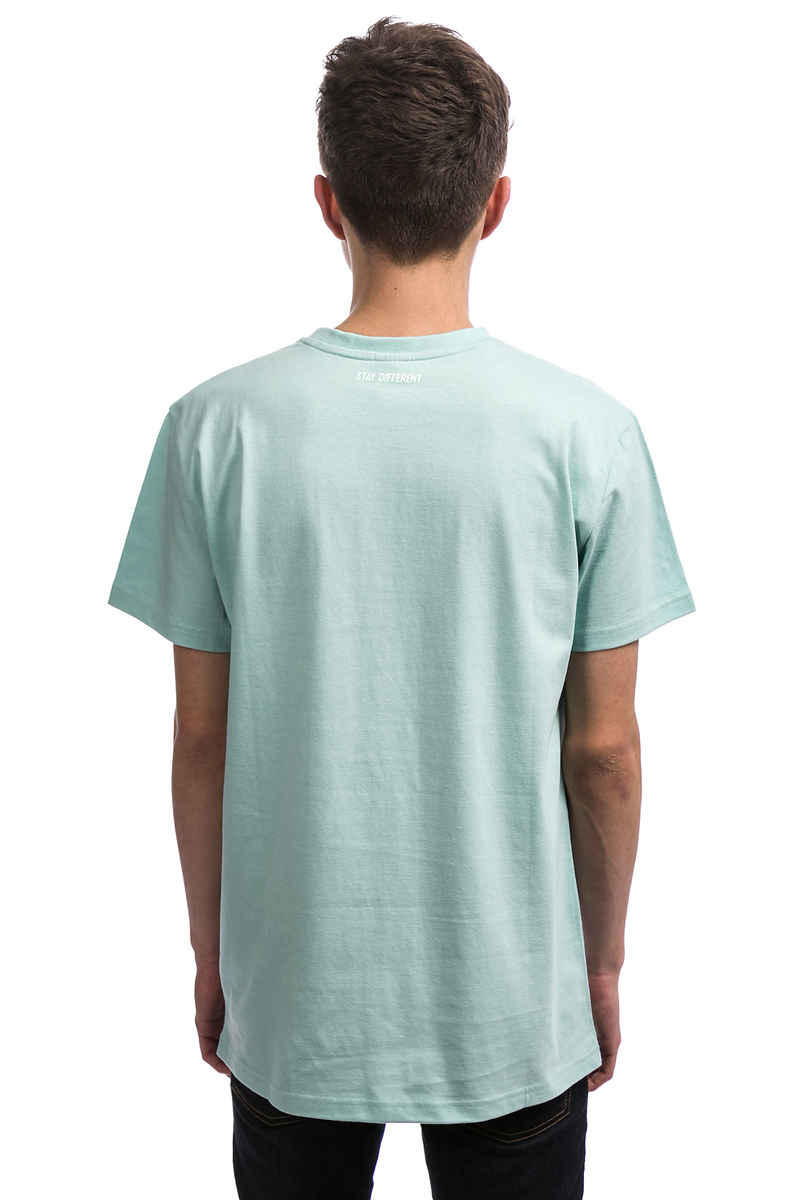 Iriedaily Flutscher T-Shirt (mint)