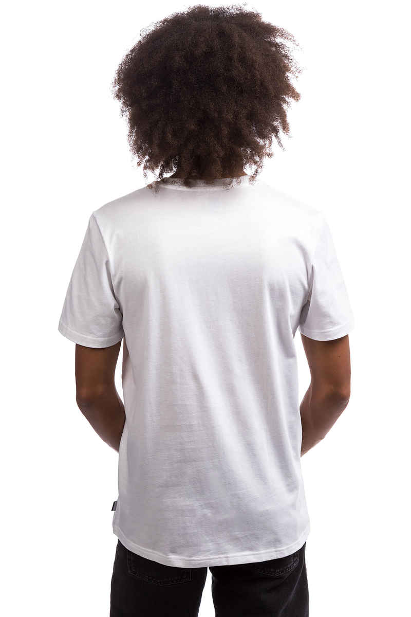 adidas Skateboarding Gonz Blackbird Camiseta (white)