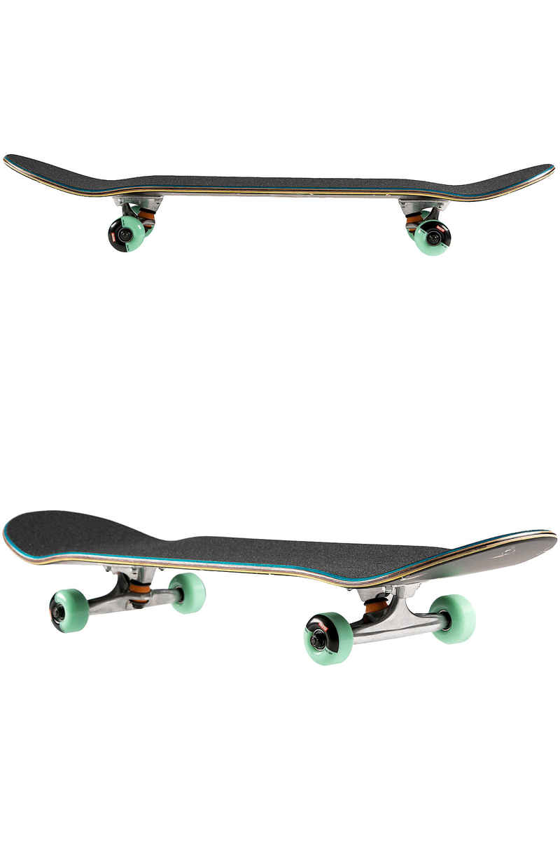 Globe Full On 8.25" Board-Complète (tropicool)