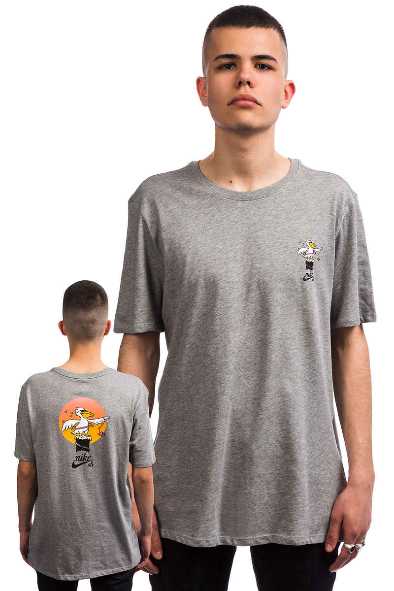 Nike SB Pelican T-Shirt (dark grey heather multi)