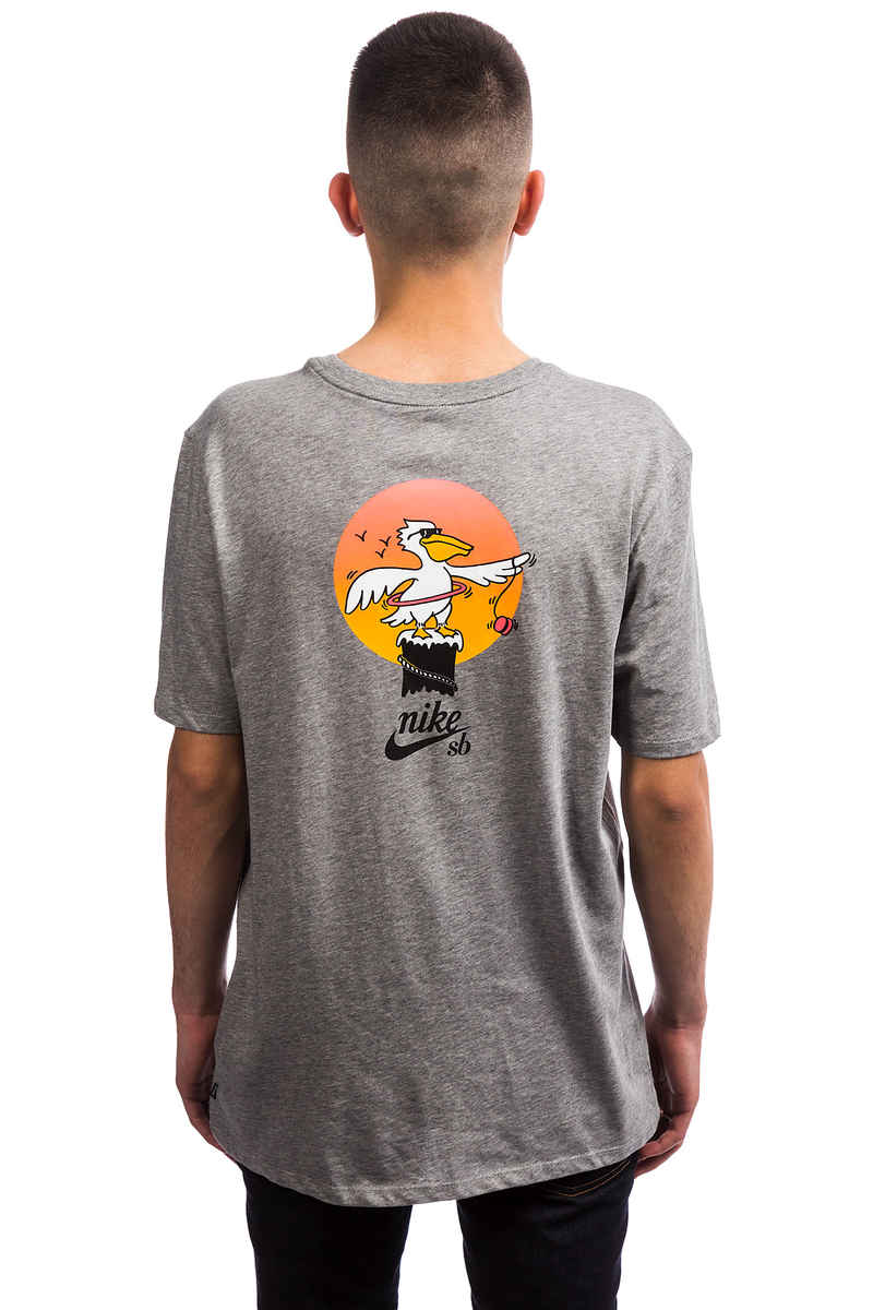 Nike SB Pelican T-Shirt (dark grey heather multi)