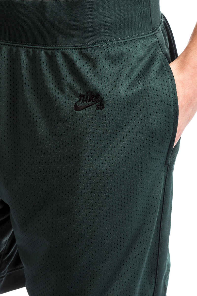 Nike SB Dry Court Heritage Shorts (deep jungle black)