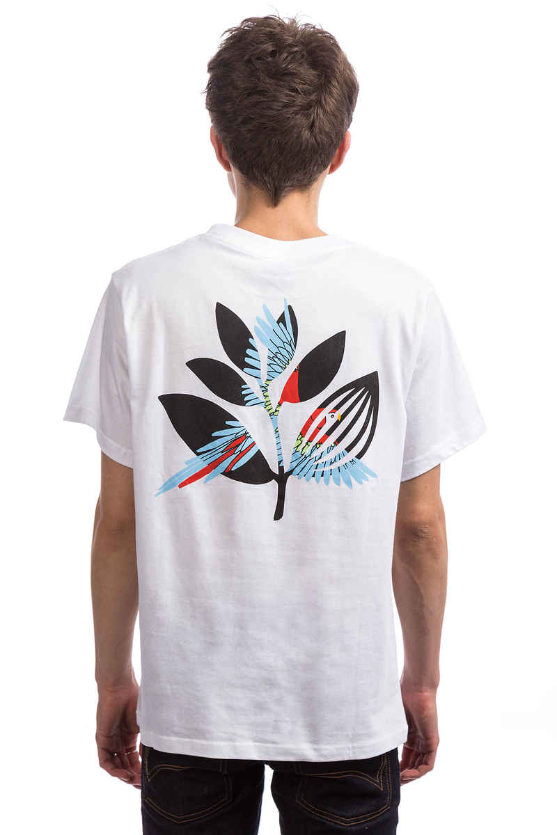 Magenta Parrot Camiseta (white)