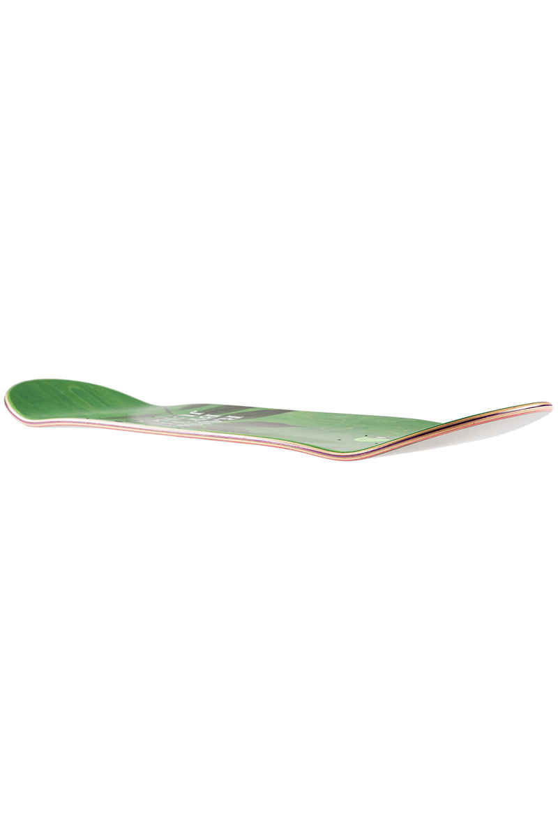 Girl Carroll Jungle Series 8.375" Tavola