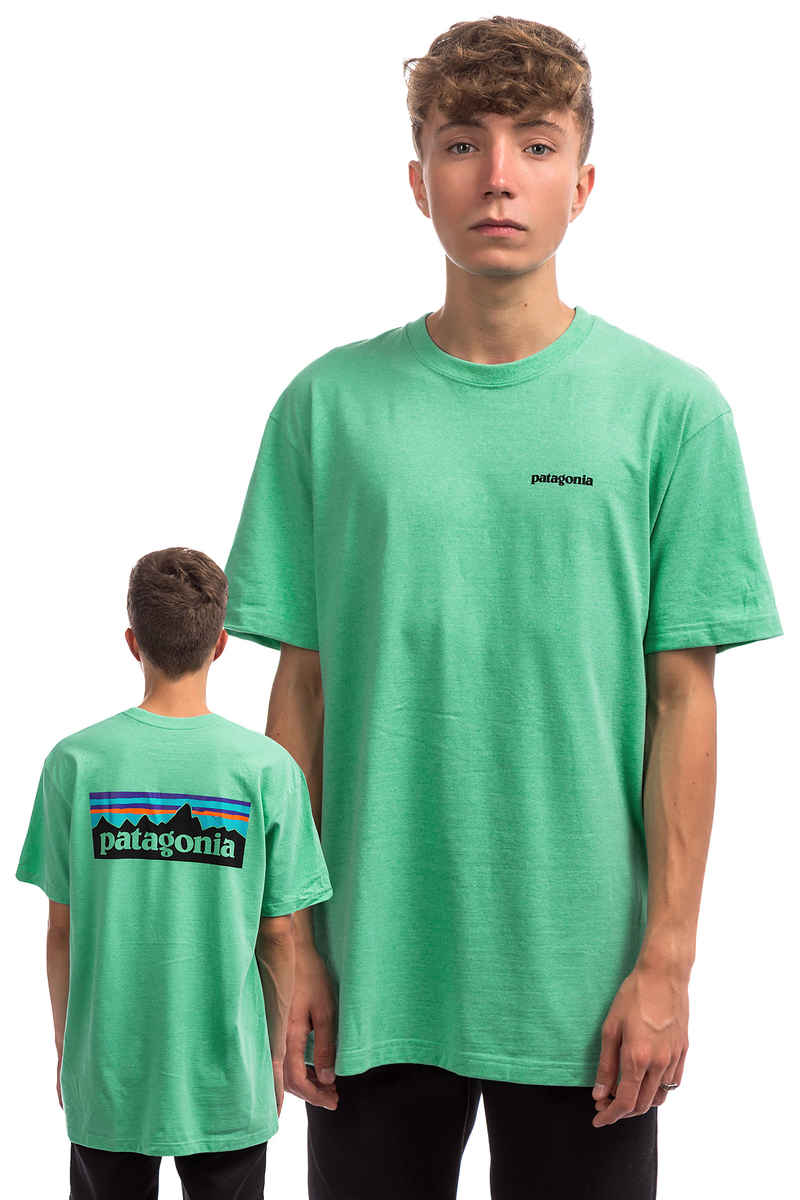 Patagonia P-6 Logo Responsibili T-Shirt (vjosa green)