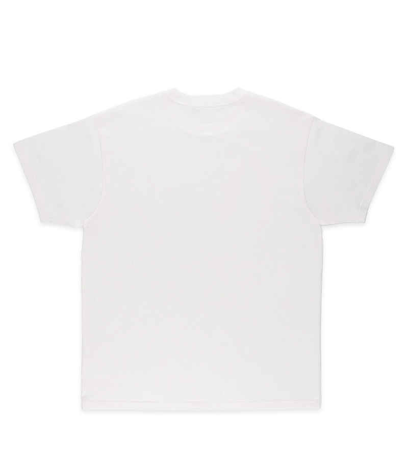 Carhartt WIP Script Embroidery T-Shirt (white black)