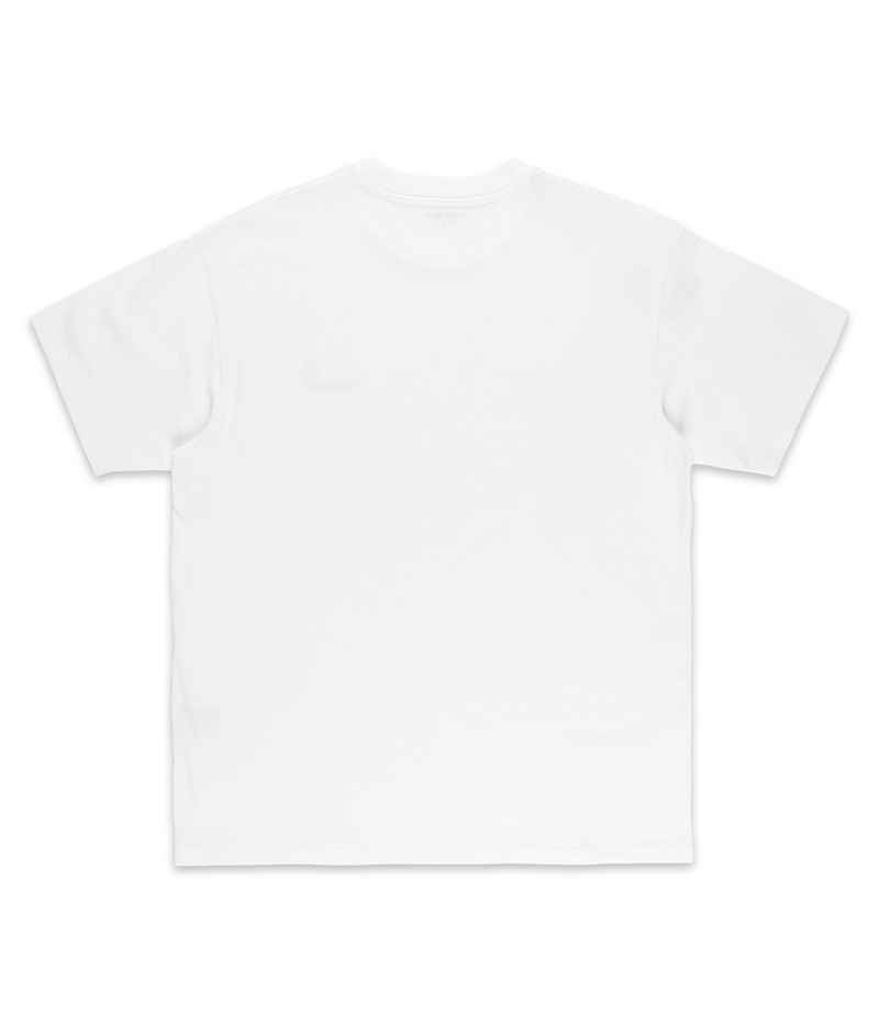 Carhartt WIP American Script T-Shirt (white)