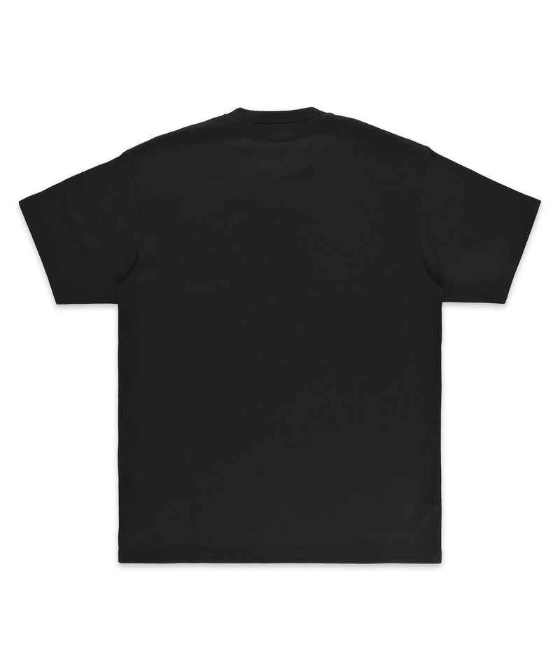 Carhartt WIP American Script T-Shirt (black)