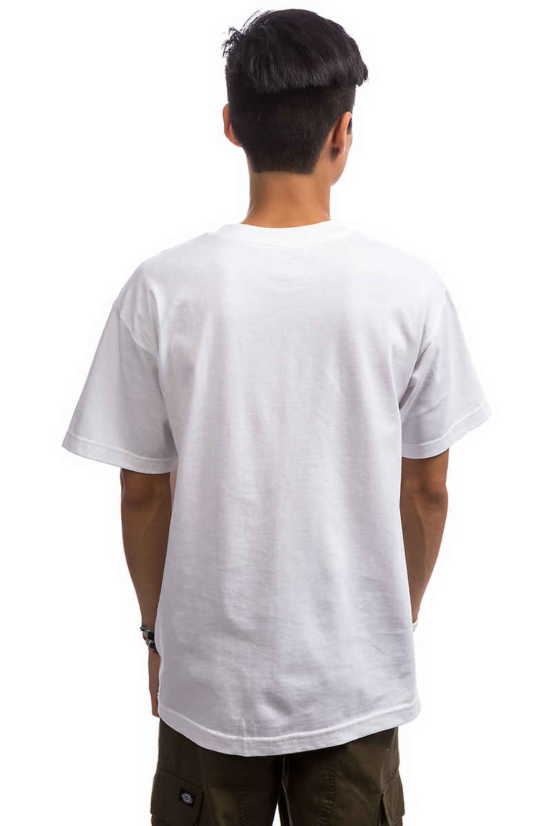 Grizzly Psychedelic Pocket T-Shirt (white)