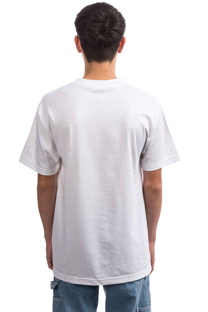 DGK Skateboards Levels T-Shirt (white)