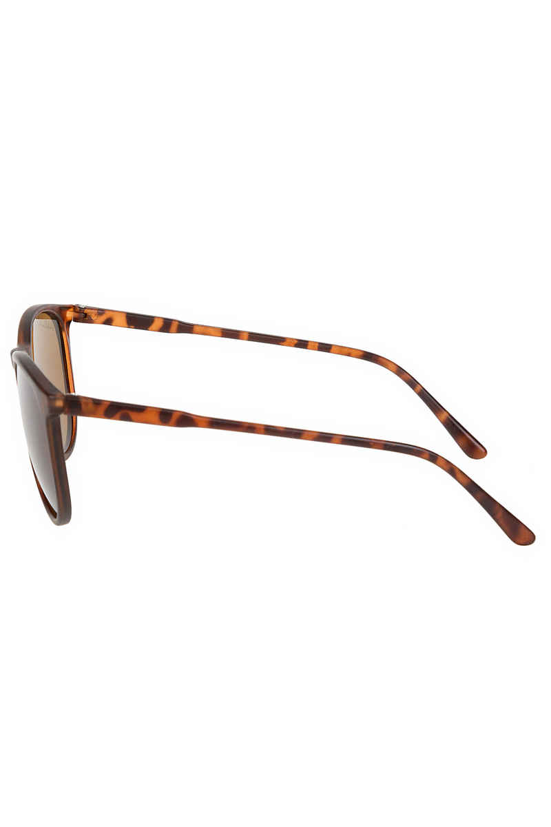 SK8DLX Class Occhiali da sole (tortoise)