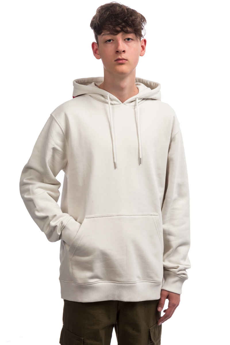 DC Skate Reverse Hoodie (white)