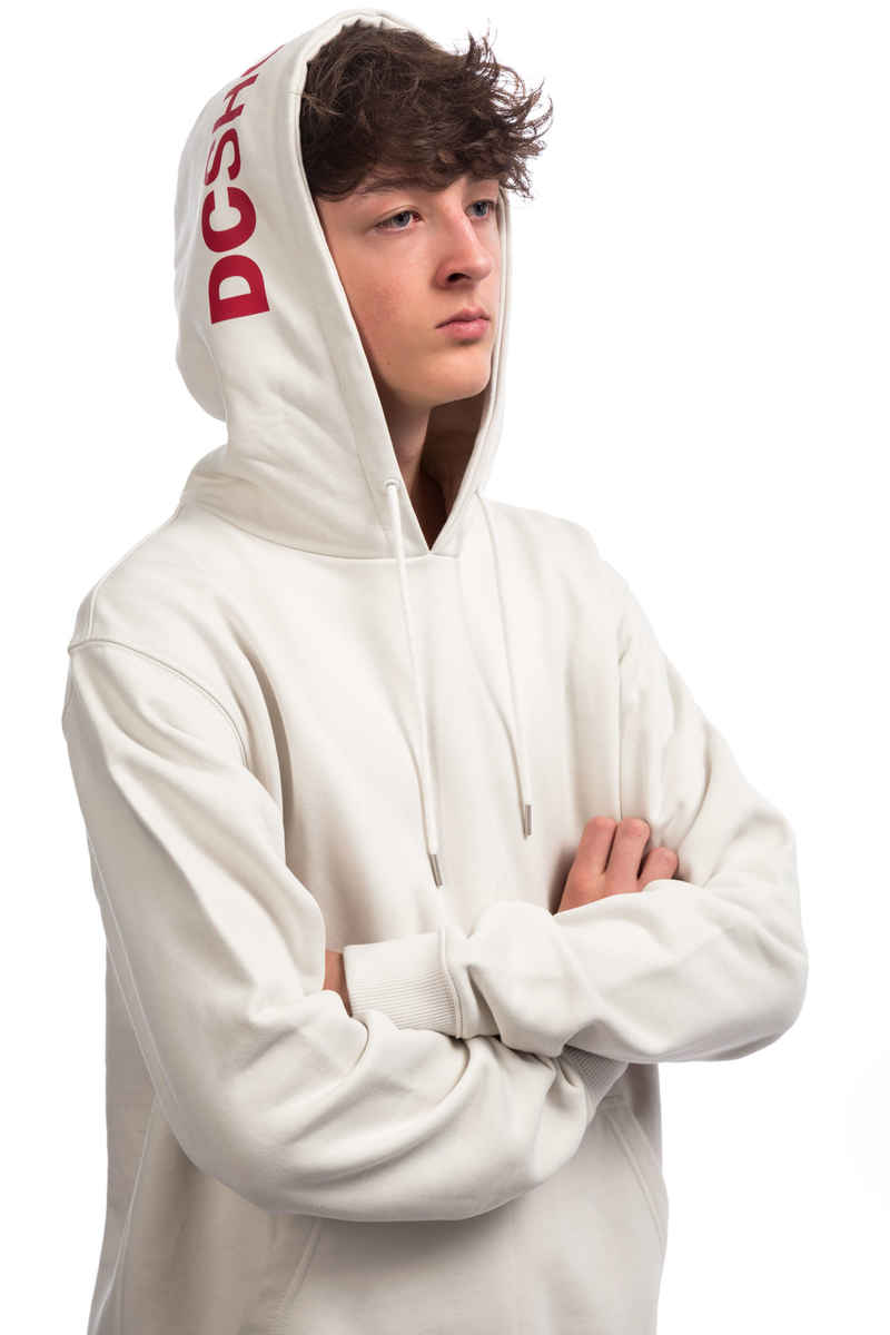 DC Skate Reverse Hoodie (white)