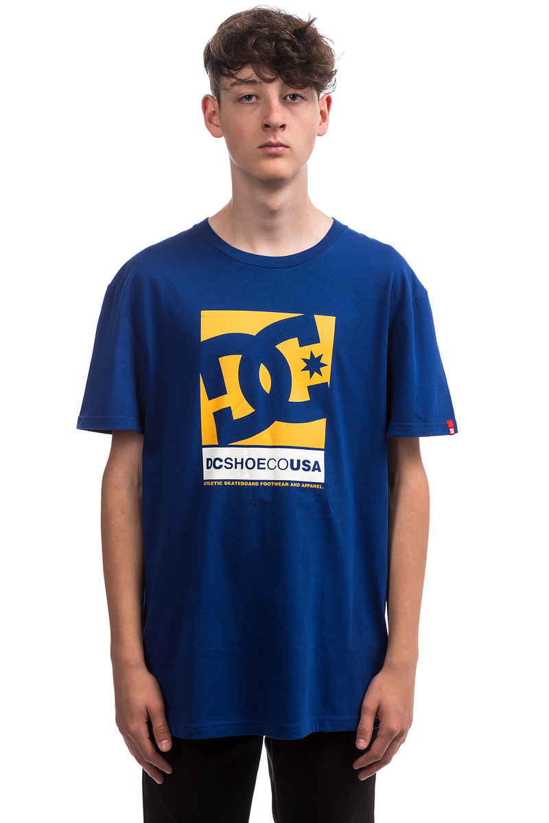 DC Wilin 18 T-Shirt (sodalite blue)