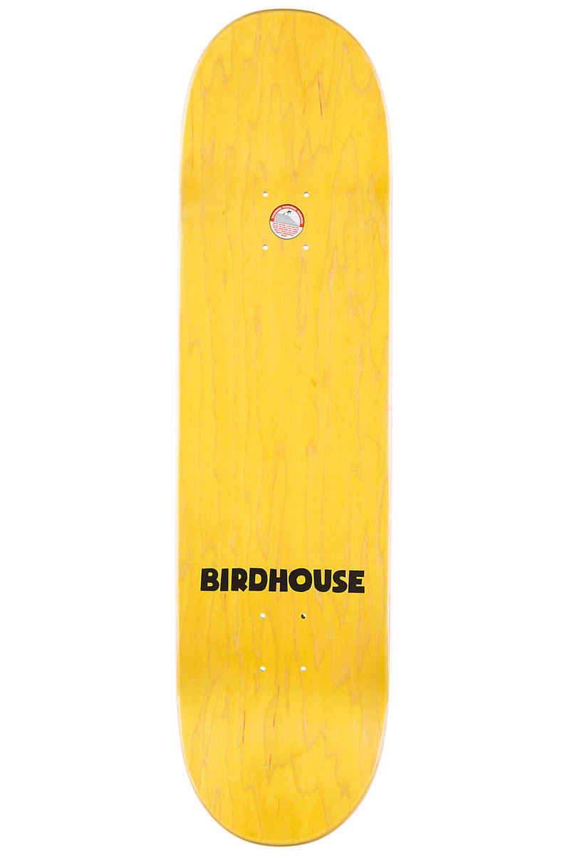 Birdhouse Raybourn Vices 8.5" Deck (multi)