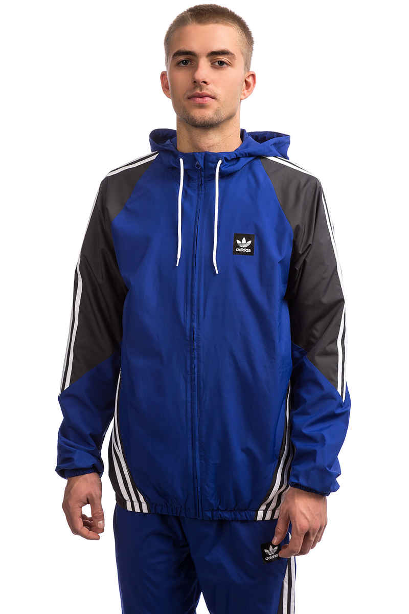 adidas Insley Giacca (active blue solid grey white)