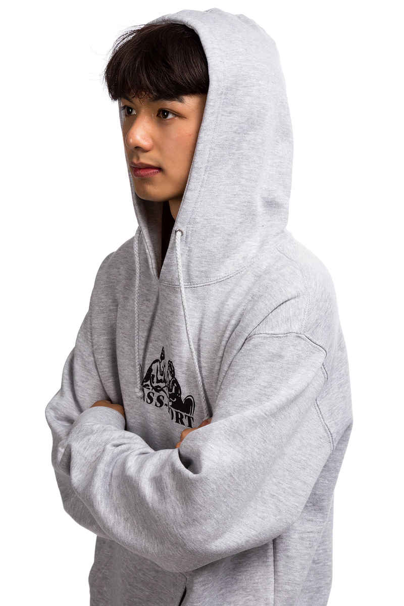 Passport Romantics Hoodie (grey heather)