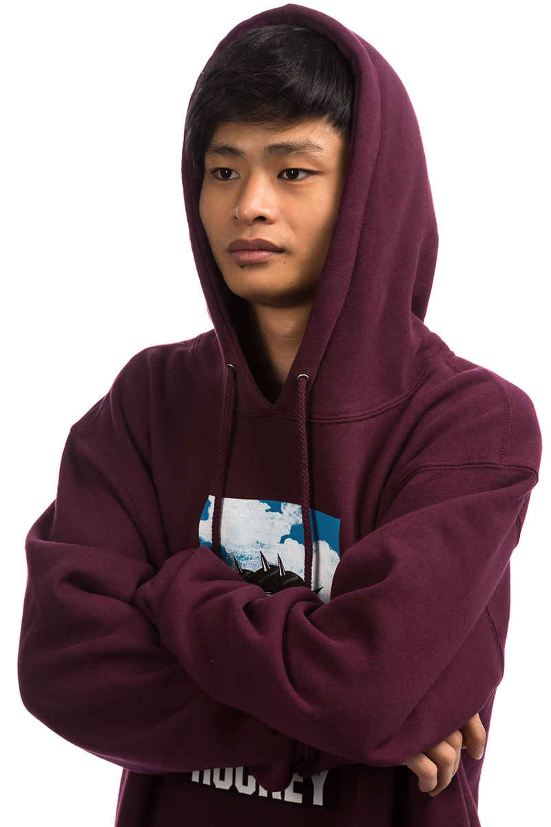 HOCKEY Spike sweat à capuche (maroon)
