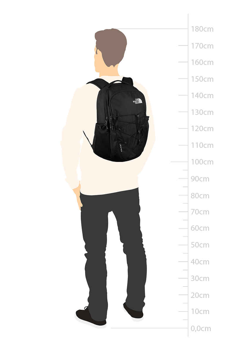 The North Face Jester Backpack 29L (tnf black)
