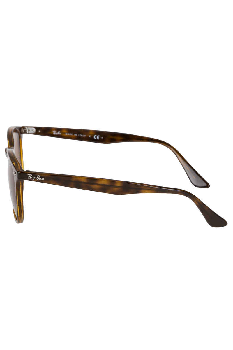 Ray-Ban RB4259 Sonnenbrille 51mm (shiny havana brown)