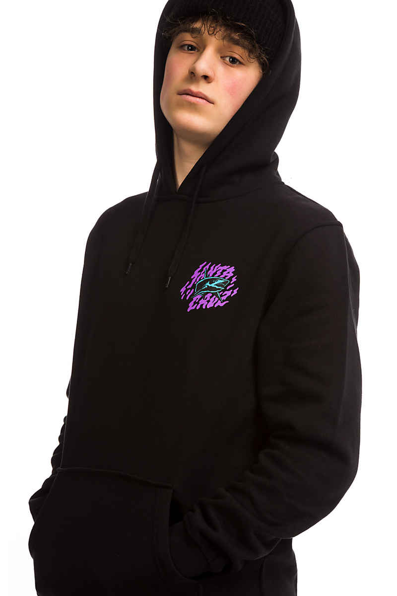 Santa Cruz Jessee Neptune sweat à capuche (black)
