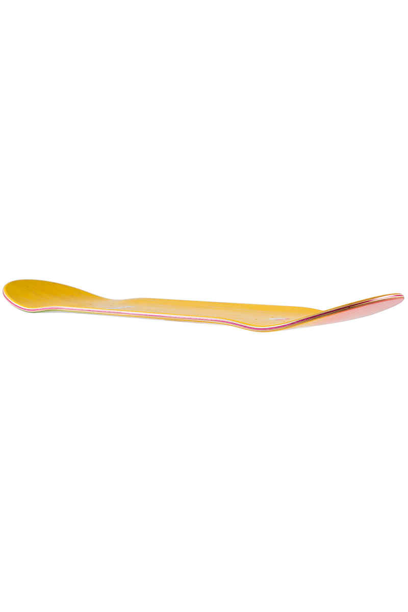 Baker Brand Logo 8.25" Tavola (rainbow)