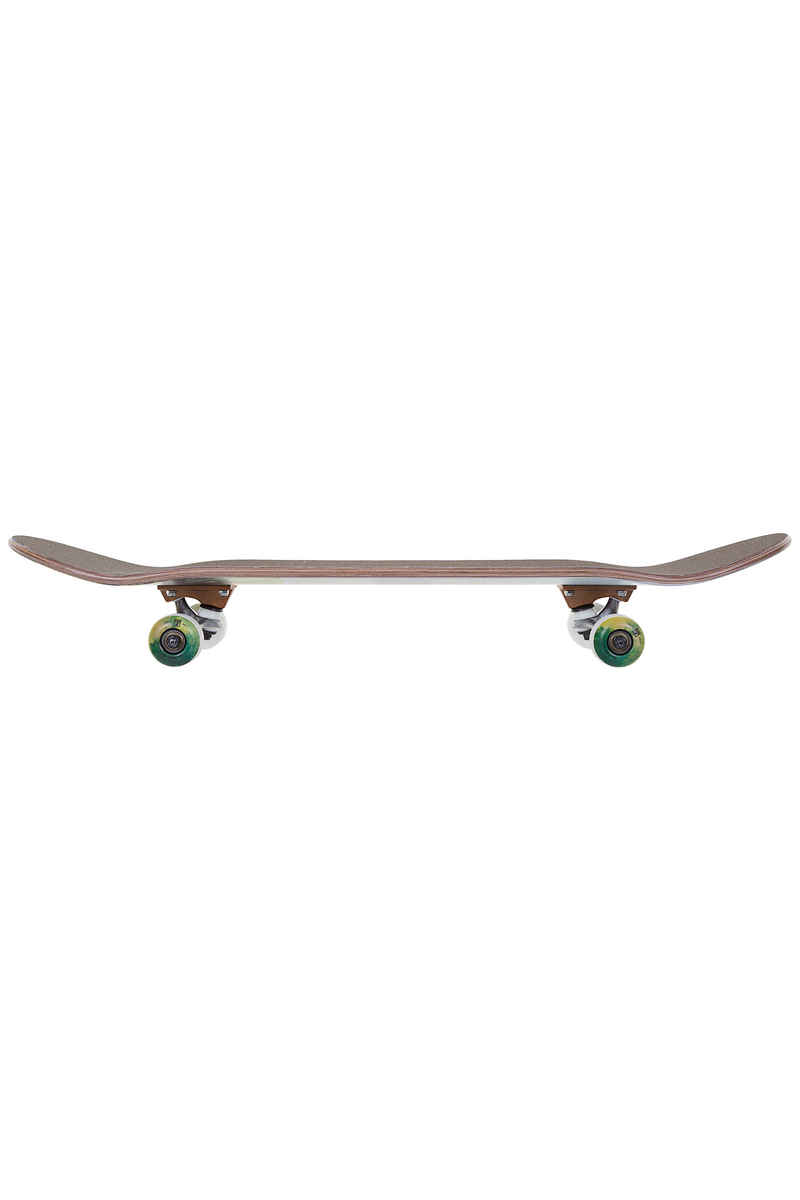 Globe Varsity 8" Tabla-completa (palm fog)