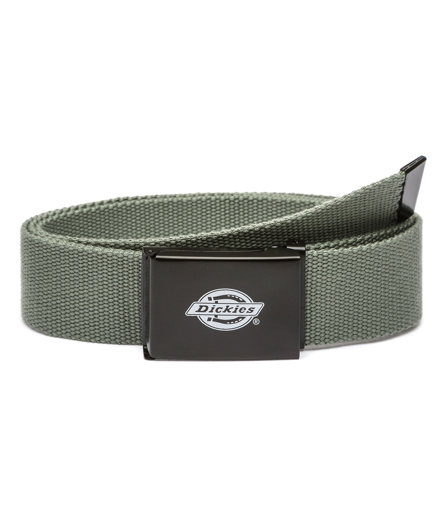 Dickies Orcutt Gürtel sea spray