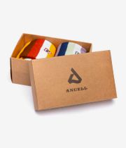 Anuell Liner Gift Box Socks US 6-13 (multi)