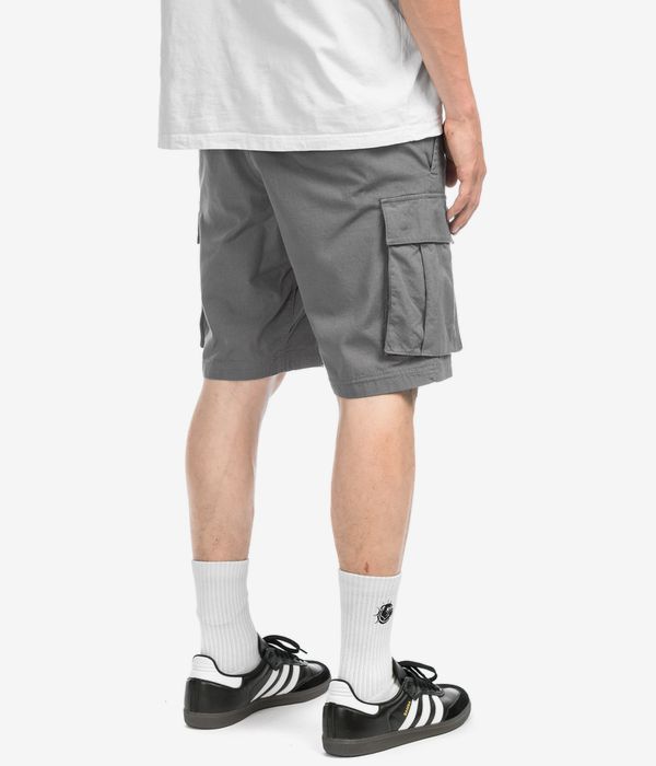 The North Face Anticline Cargo Shorts (smo)