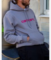 Carhartt WIP Basic Felpa Hoodie (yosemite disco)