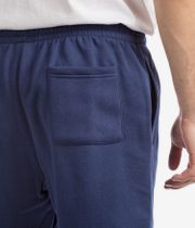 Nike SB GFX Shorts (midnight navy gym red)